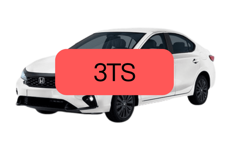 3TS